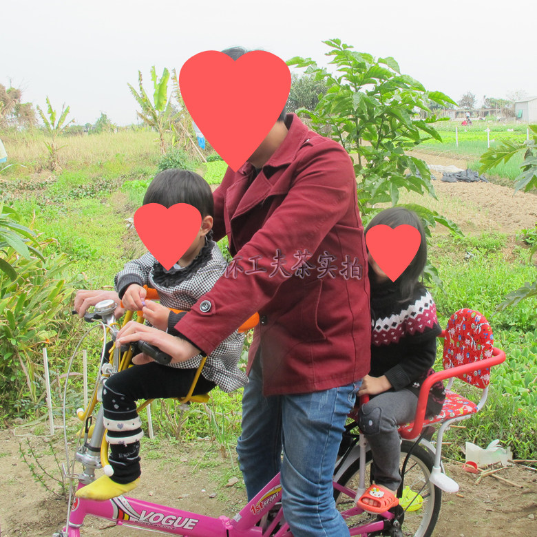 siège enfants pour vélo - Ref 2439070 Image 17
