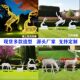 ສະແຕນເລດ hollow elk sculpture outdoor lawn garden landscape Pegasus luminous animal plum blossom giraffe ornaments