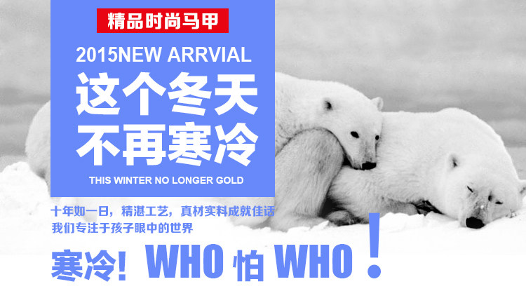 Gilet garcon en fibre - Ref 2067250 Image 13