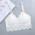 Áo lót ren không bó sát gợi cảm Top Bra Chống eo nữ sinh Đồ lót trắng mỏng T255 Ống