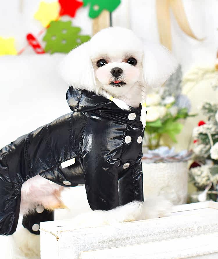 樂樂的小小世界一閱心闐狗狗衣服冬季新款保暖寵物衣服燙金連帽四腳羽絨服黑色 Yahoo奇摩拍賣