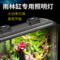 Fish tank light rainforest cylinder aquarium water grass amphibious cylinder LED light lighting fixed bracket rainforest build-up lamp suspension wire