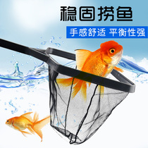 Fishing for fishing small fishing nets Fishing Sticky Nets Small Fish Isolated Nets Nets Goldfish Fish Tank Amphibian Manuscripts Net Hand Scribe Water Tribe