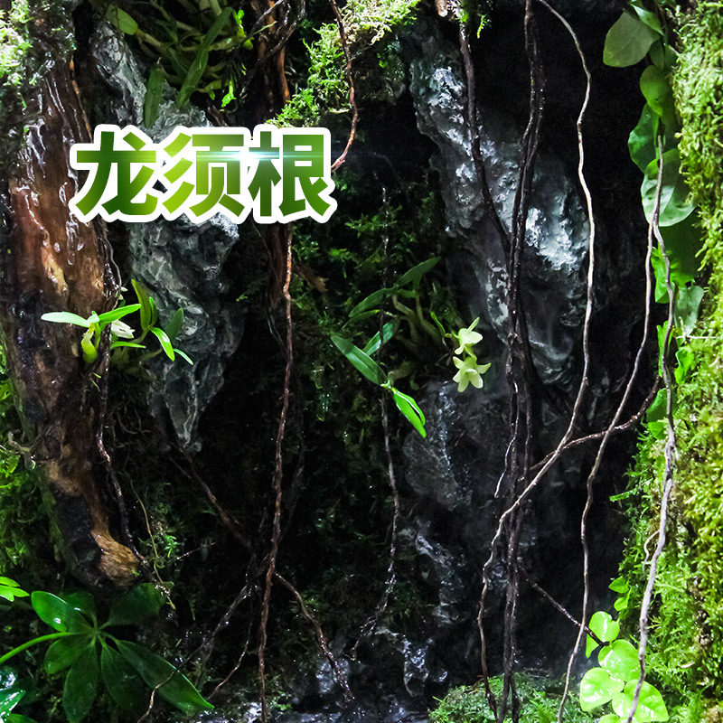 Longhu root rattan landscape Rainforest tank package Land and water tank Water plant tank Material accessories Plant sink wood ecological tank customization