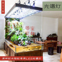 Large ultra-large rainforest cylinder water group spotlight commercial amphibious cylinder water grass LED full-spectrum plant tonic light sun