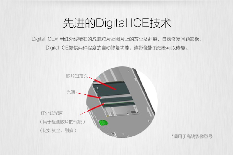 Epson Epson V19 ánh sáng gia đình và máy quét phẳng A4 di động hỗ trợ USB - Máy quét