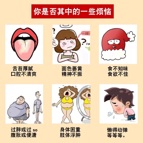 Ячмень, ямс, горгона, пория, порошок семян лотоса, порошок для здоровья селезенки «Пять элементов», цельнозерновой порошок, свежемолотая паста для завтрака, заваривай и ешь