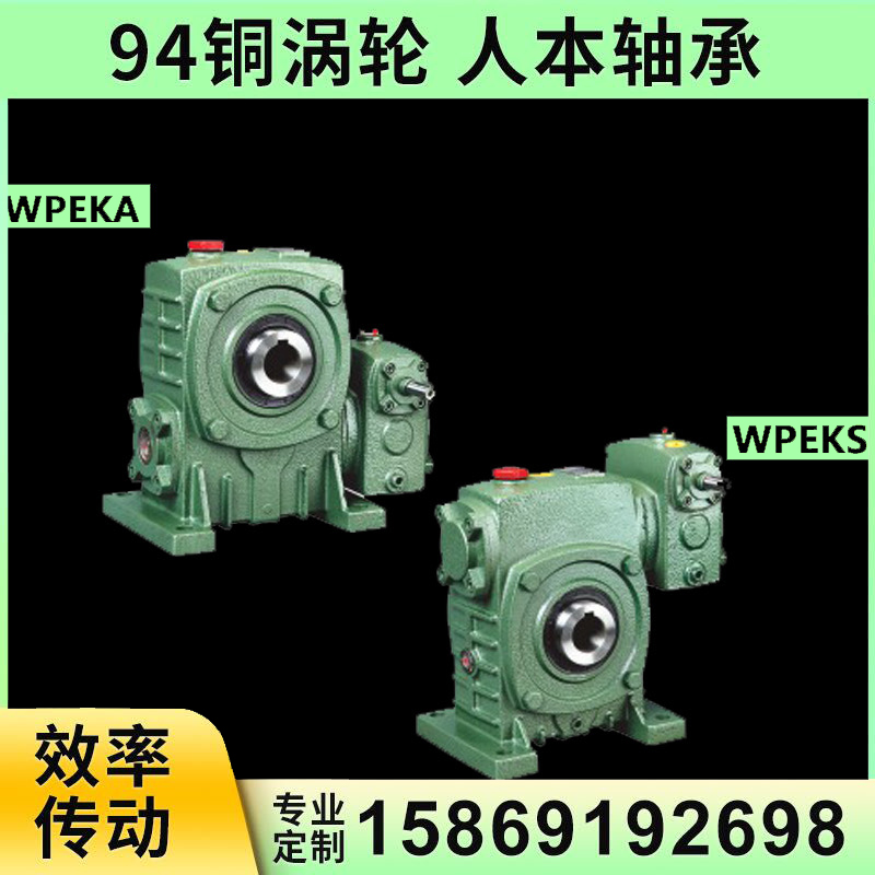 WPEKA WPEKS worm gear reducer variable-speed gearboxes with motor vertical belt pulley output holes