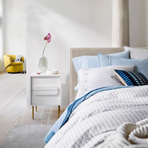 Simple bedside table Nordic bedside cabinet Light luxury decorative locker Iron storage 2 pumps