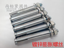 Metal Expansion Bolt Fastener Longed Galvanized Outer Iron Expansion Screw M10 * 80-M10*300