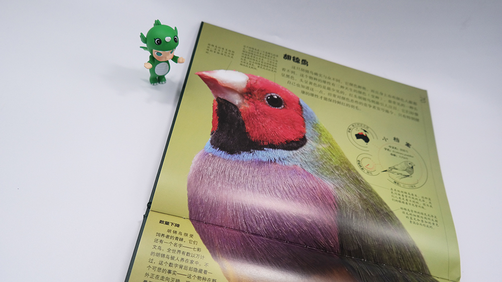 DK 微观动物世界(精装版) 铜版纸 图2