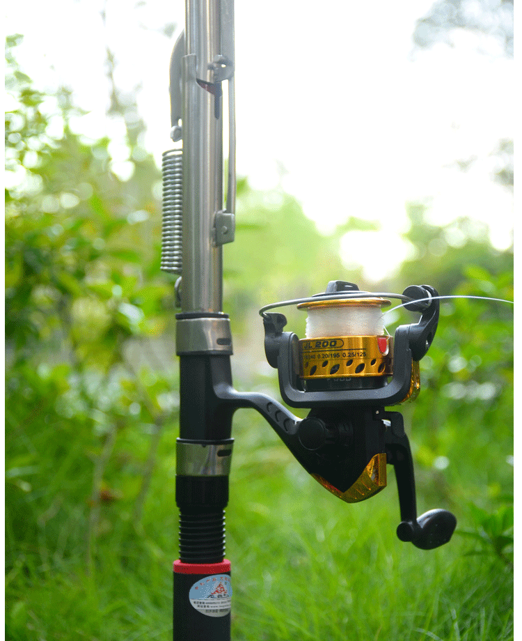 Dragon Head-up Automatic Fishing Rod Spring Rod Rod Self-Play Sea Rod Fishing Rod Fishing Gear Ultra Light Portable Sea Pole Special Price Suit-Taobao