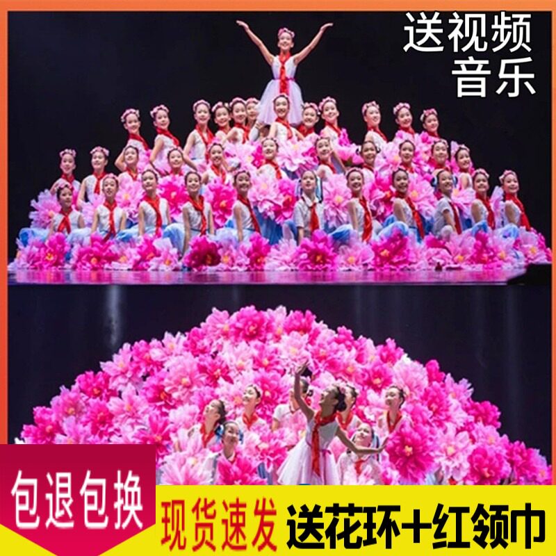The 11th Xiaohe style grows up in the arms of the motherland, chorus dance performance costumes, girls in tutu skirts