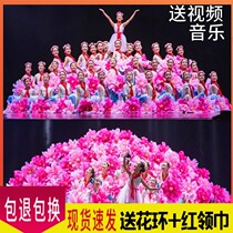 The 11th Xiaohe style grows up in the arms of the motherland chorus dance performance costumes girls in tutu skirts