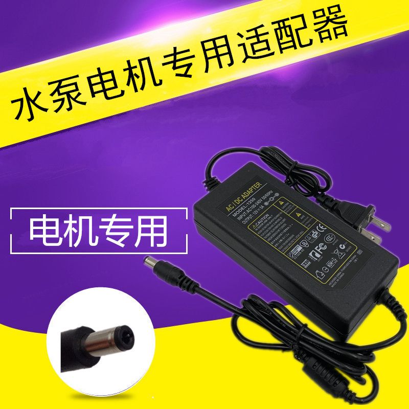 12V Water Pump Power Adapter 220V to 12V Transformer Converter Dual Pump Motor 12V Sprayer Water Pump