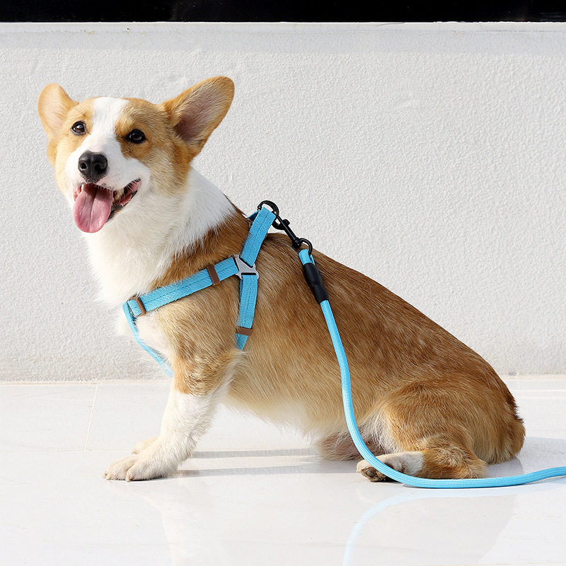 Dog Traction Rope Pet Pooch Supplies Dog Rope Kennel Dog Leash Large Dog Leash Rope Leash Catwalk Kitty Walking Dog Rope