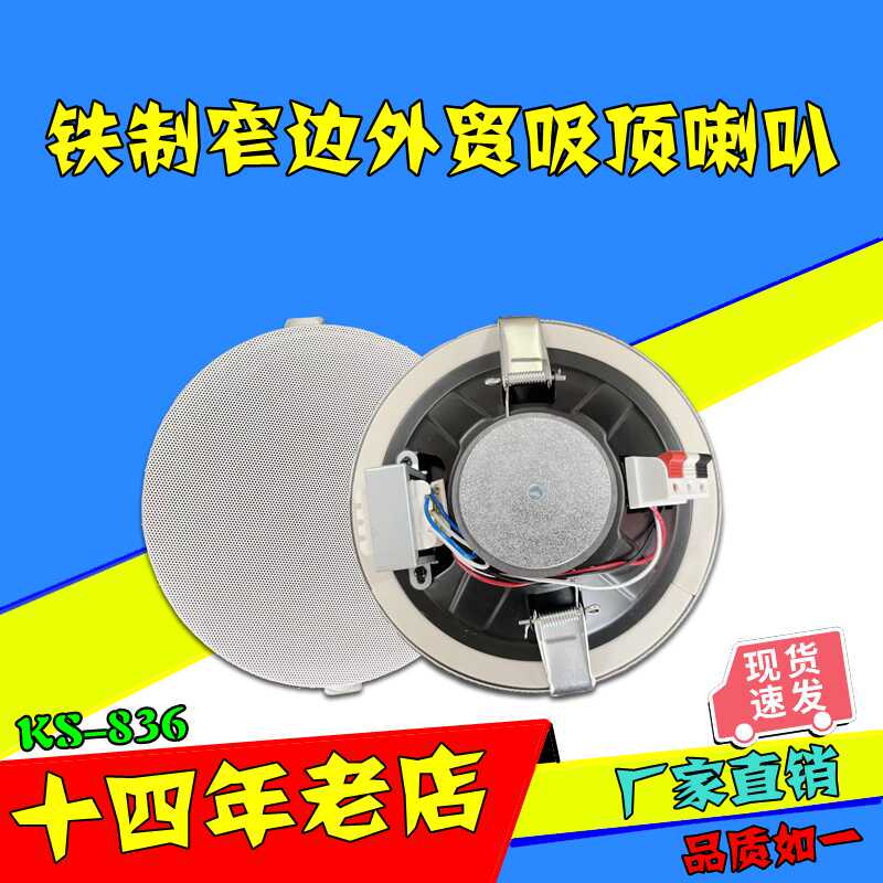 5-10W 6inch Full-Range Embedded Iron Ceiling Speakers for Background Music in Shopping Malls and Stores 5-10W 6inch Full-Range Embedded Iron Ceiling Speakers for Background Music in Shopping Malls and Stores