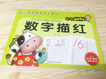 Digital Sketching Beni Kindergarten Daily Practice Digital 0-100 Depictions Training Children Beginners Digital Sketching