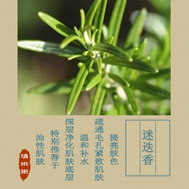 Marine Dew Fresh Rosemary saturated pure Dew contains essential oil to control oil and shrink pores and hair care