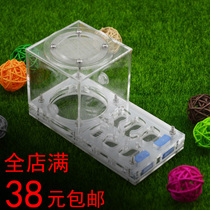 Shiwang Antarium Small Plane Acrylic Ants Nest Biomimetic Morphant Nest Ants Breeding Nest Ants Moisturizing Nest