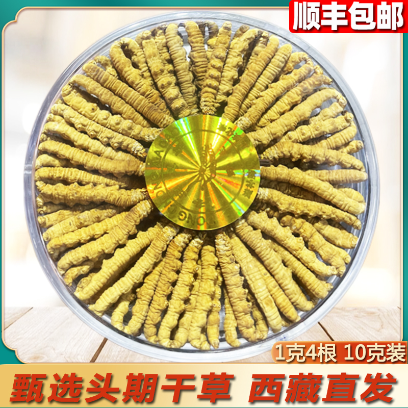 Authentic Caterpillar Fungus Head Period Dry Goods Official Flagship Store Delivery Box Loaded non-broken grass 1g grams 4 Caterpillar Fungus