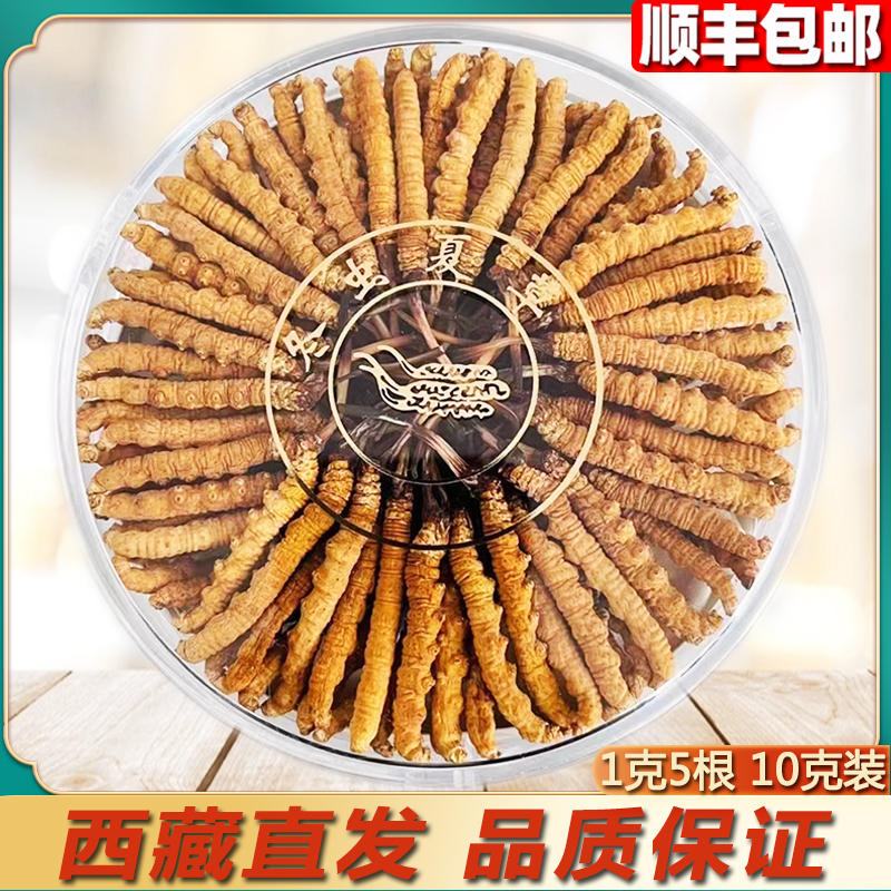 Aweto Zhengzong Head Period Dry Goods Official Flagship Store Non-Broken Grass Delivery Box Loaded 1g grams 5 Caterpillar Fungus