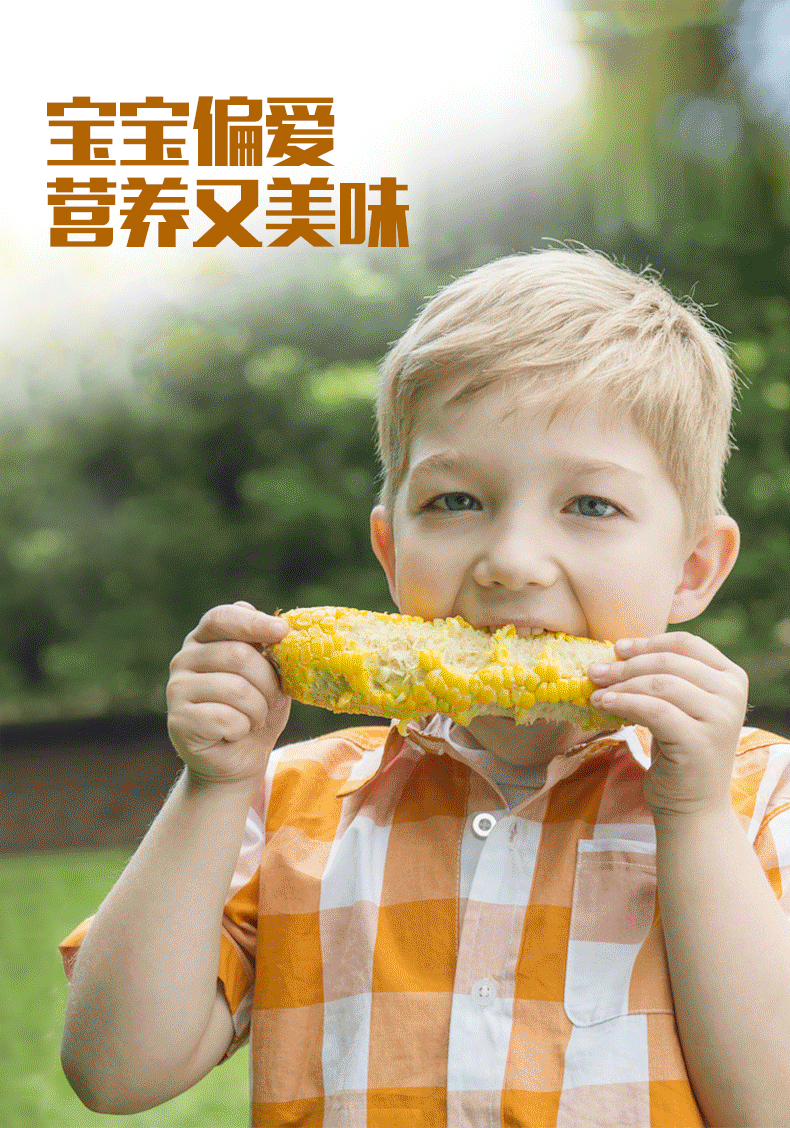 开袋即食东北有机甜糯黏玉米棒5根