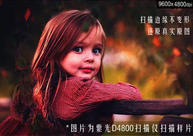 Violet D4800 HD a4 màu máy quét phẳng văn phòng hình ảnh tài liệu tập tin hình ảnh - Máy quét