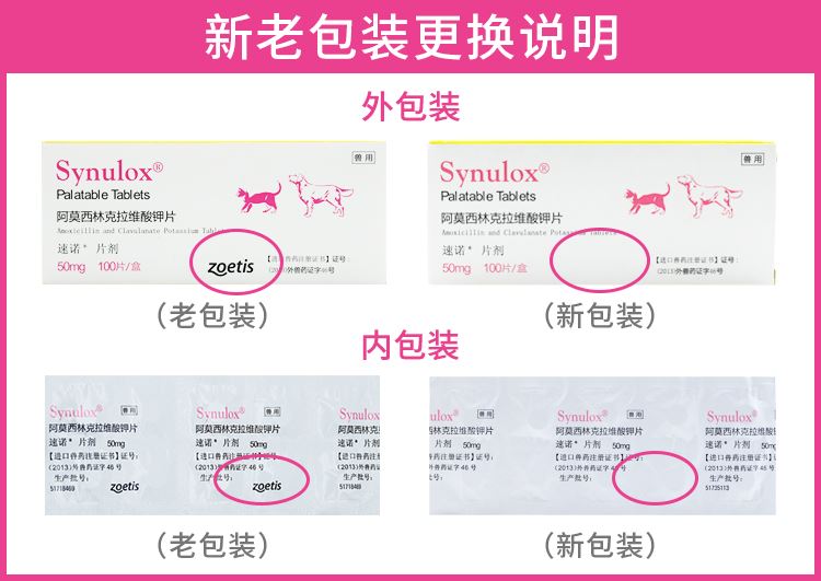 Thú cưng mèo Sylvia thuốc cảm lạnh mèo mũi xoang viên chó mèo da bệnh viêm miệng 50mg10 - Cat / Dog Medical Supplies xi lanh thú y