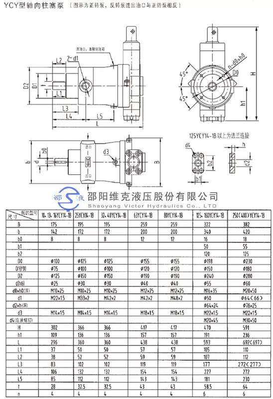 giá bơm thủy lực Shaoyang Vick Thủy Lực 10/25/40/63/80/160/250YCY14-1B bơm piston hướng trục biến thiên tự động máy bơm thủy lực loại nhỏ nguyên lý bơm thủy lực