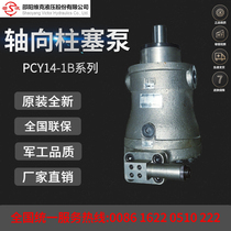 Original Shaoyang Vick hydraulic axial piston pump 10 25 40 63 80 100 160 250PCY14-1B