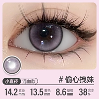 14.2 Украденная девушка