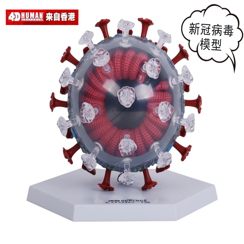 4D MASTER 病毒拼装模型DIY细菌生物教学展示益智玩具 科学馆礼品