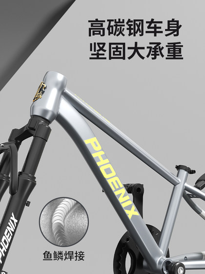 凤凰儿童自行车女孩6-12岁青少年中大童男孩山地变速学生20寸单车