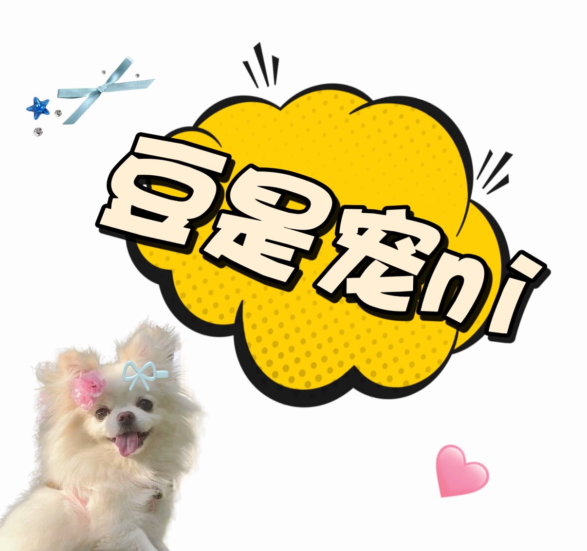 豆是宠ni