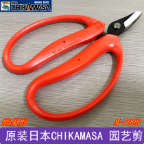 Japan imports near-positive pruning shears potted thick branch shears flower art scissors toucan bird branch shears pruning shears picking fruit shears