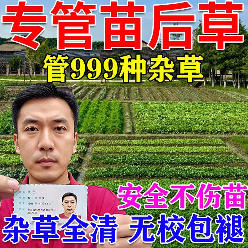 Specialized Post-Planting Weed Killer for Vegetable Fields, Corn Fields, and for Removing Dead Grass from Sweet Potatoes and Sesame Plants Without Damaging the Seedlings, and for Quickly Eliminating Reeds