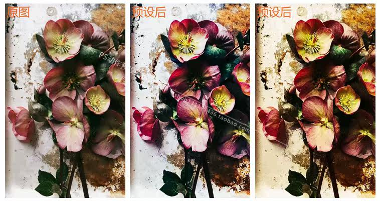 PS/Lr电影胶片小清新复古滤镜调色预设 RNI V4