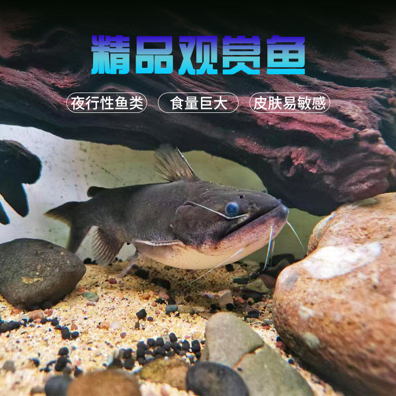 undefined-淘宝网
