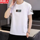 Antarctic summer thin round neck short-sleeved cotton T-shirt men's trendy casual tops teenagers Korean style T-shirt