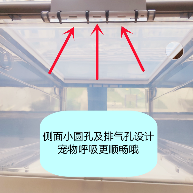 猫咪呼吸小助手：雾化窝与猫产房的新奇结合