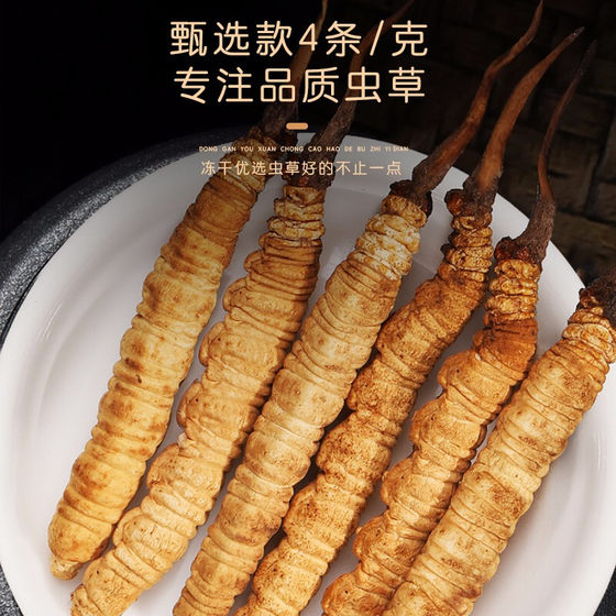 Fudonghai Cordyceps sinensis 4 pieces/g Cordyceps Qinghai tree Cordyceps sinensis fresh dry Cordyceps sinensis