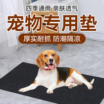 Tapage canin Anti-ripping épaississement Warm Sleeping With Removable Washable Pet Ground Mat Large Canine Fence Dog Cage Subbed