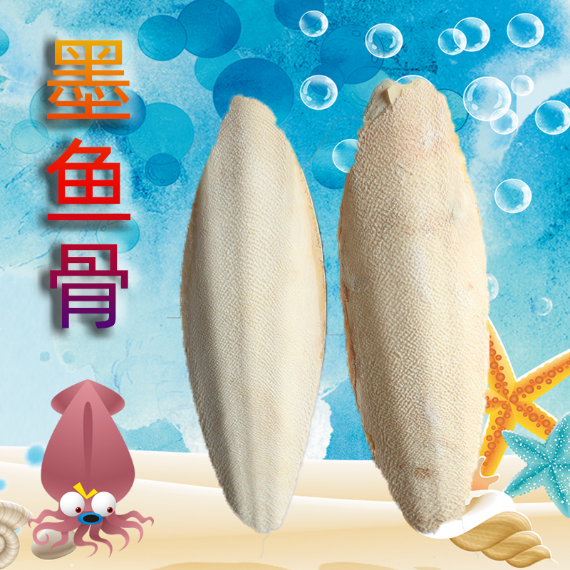 Cuttlefish bone small animal molar parrot molar rabbit molar calcium supplement chinchilla molar bird molar stone one