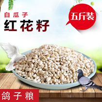 Red flower seed white melon seed parrot bird food and bird feed hamster grain pigeon food 5 catty 