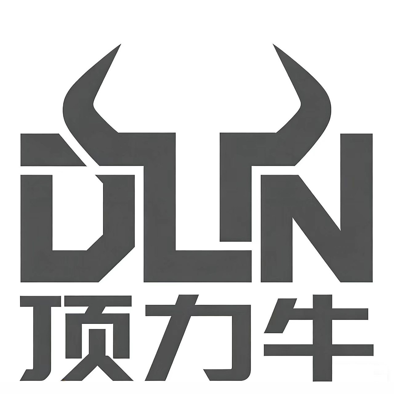 顶力牛不锈钢支架