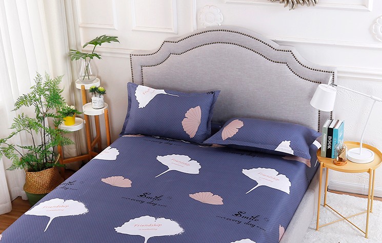 Vỏ gối Một cặp bốn mùa chà nhám cho học sinh trưởng thành một chiếc gối 48 74cm một đôi gối bà bầu