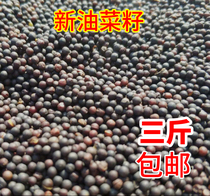  Bird Edible Oil Rapeseed Tiger Skin Peony Parrot Hibiscus Bird Jade Bird Wen Bird 500g