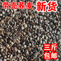 Buckwheat shelled buckwheat tiger skin peony whirlwind parrot bird food Pigeon hamster Natural grain bird food 500g