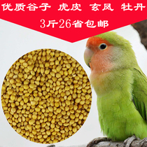  Small and medium-sized parrot bird food feed peony tiger skin Xuanfeng millet food yellow millet with shell millet bird food 500g